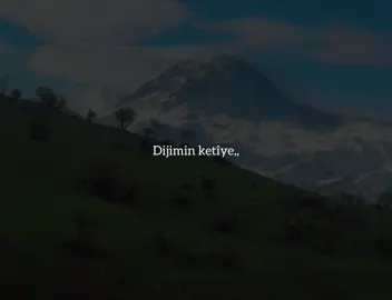 Wêlat🤍#barzan #foryou #tiktok #active 