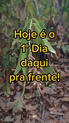 Como você se renova? 💓