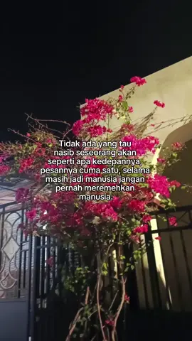 #fyp #foryoupage #quotes 