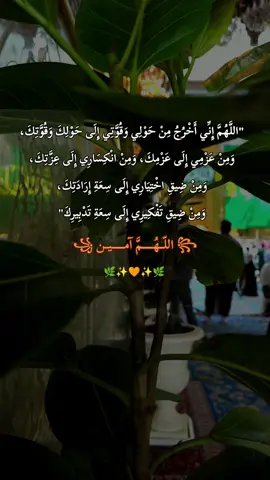 اللهم اني أخرج من حولي وقوتي إلى حولك وقوتك #ياالله #اللهم #الشيخ_علي_المياحي #علي_المياحي #كربلاء 