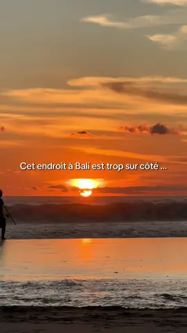 Tu veux plus d’astuces pour ton voyage à Bali ? 🌞🩷🪸 J’ai créé le guide que j’aurais rêvé d’avoir en arrivant ici pour 9.99€ seulement : * Mes adresses secrètes & coups de cœur * Des hébergements testés (hostels, guesthouses, hôtels & villas) * Des idées d’activités ville par ville * Des itinéraires complets (1 à 4 semaines) selon ton profil : solo, couple, famille, amis… Ce guide, c’est bien plus qu’un carnet d’adresses : c’est une façon de vivre Bali avec profondeur & authenticité. Bonne lecture… et surtout, bon voyage dans ce coin de paradis 🌞🏄‍♀️🪸🌴🌺 👉 Retrouve-le dans ma bio ! #baliguide#voyagebali#ubud#canggu#bali