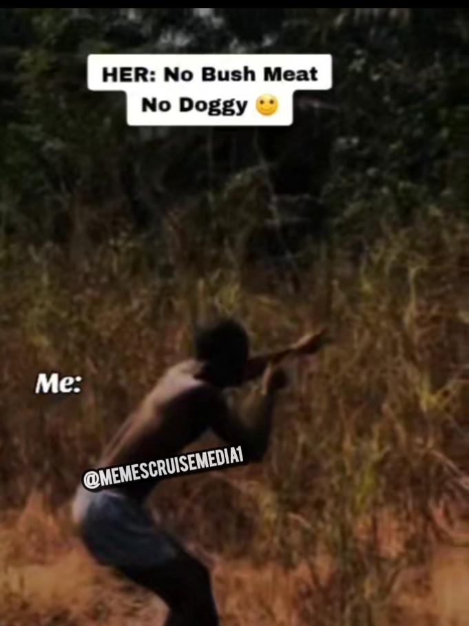 Make I rush go bush 😂 #memescruisemedia1 #memes #fyp #viral 