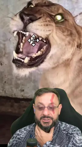 Saiba mais sobre leões: dentes #biologohenrique #animais #bichoesperto #biologo