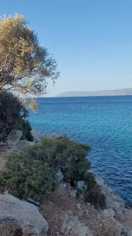 Şöyle bir dönüp bakıyor, durup düşünüyorum da: Vedense hep iyiler hasta, iyiler yorgun iyiler mutsuz, Gamsizlar sefa da, Arsızlar saglam. Hep mi kötülerin gemisi yürÜr bu hayatta...#keşfetedüşürbeni #keşfetteyizzzzzzzzzz #tiktokviral 