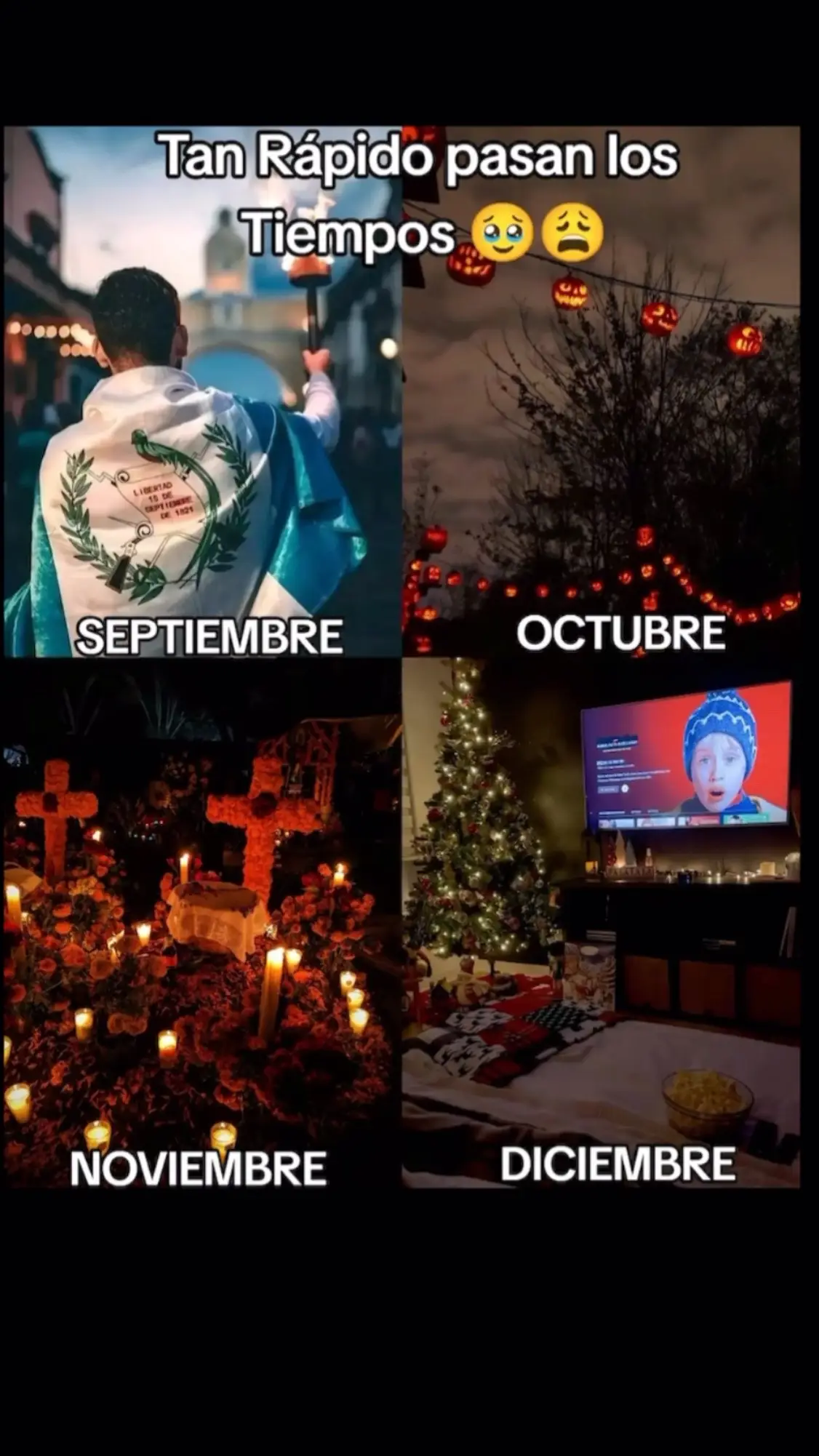 #LIVEIncentiveProgram #LIVEStory #PaidPartnership 