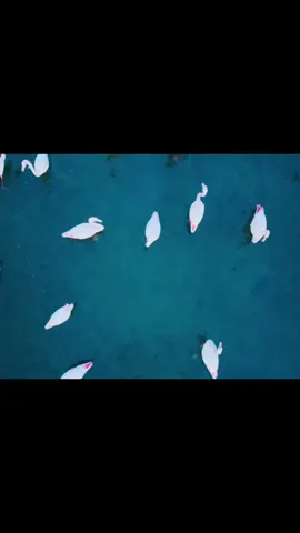 Tilawat Al Quran Al Kareem | Surah Dhuha #fyp #quran #islamic_video #foryou 