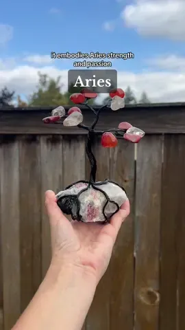 Hey Aries this one’s for you! ♈️ #zodiacsigns #aries #zodiaccollection 
