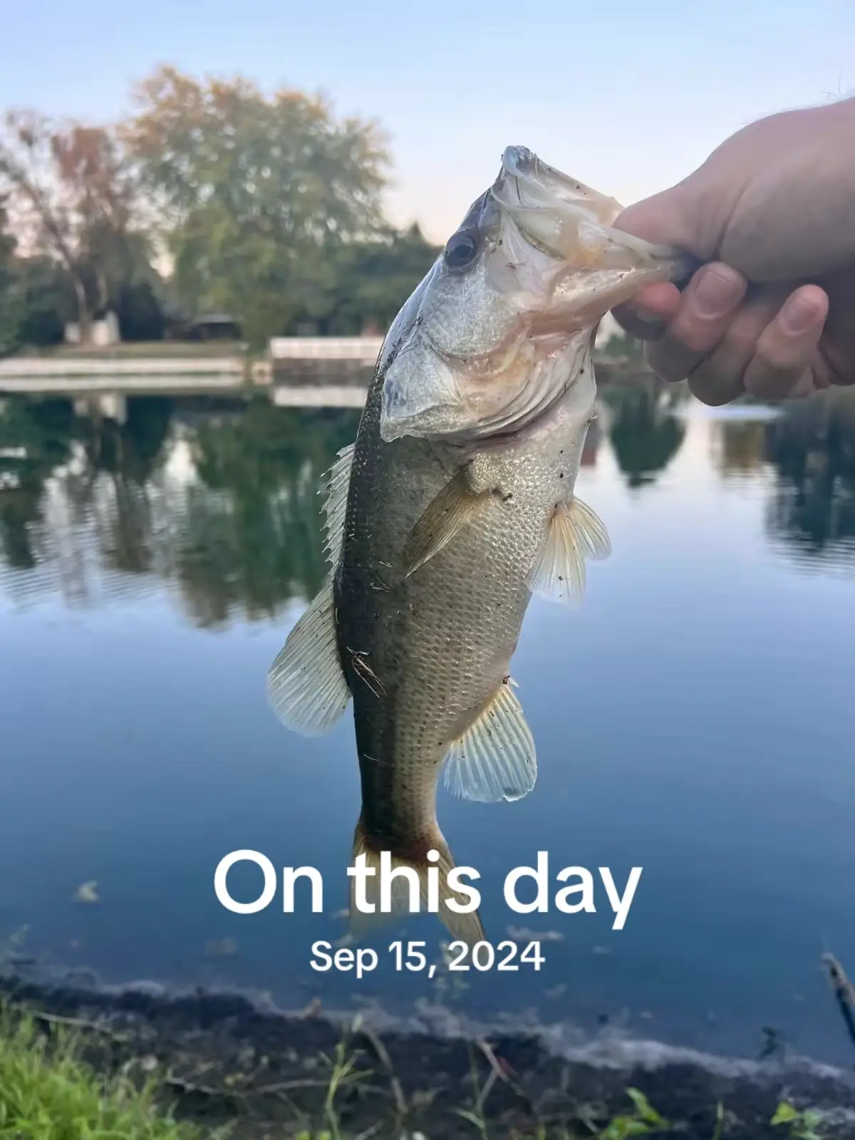 #onthisday 