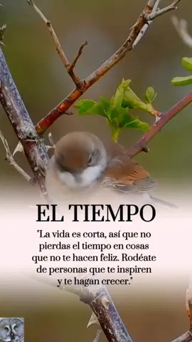 frases #frase #reflexion 