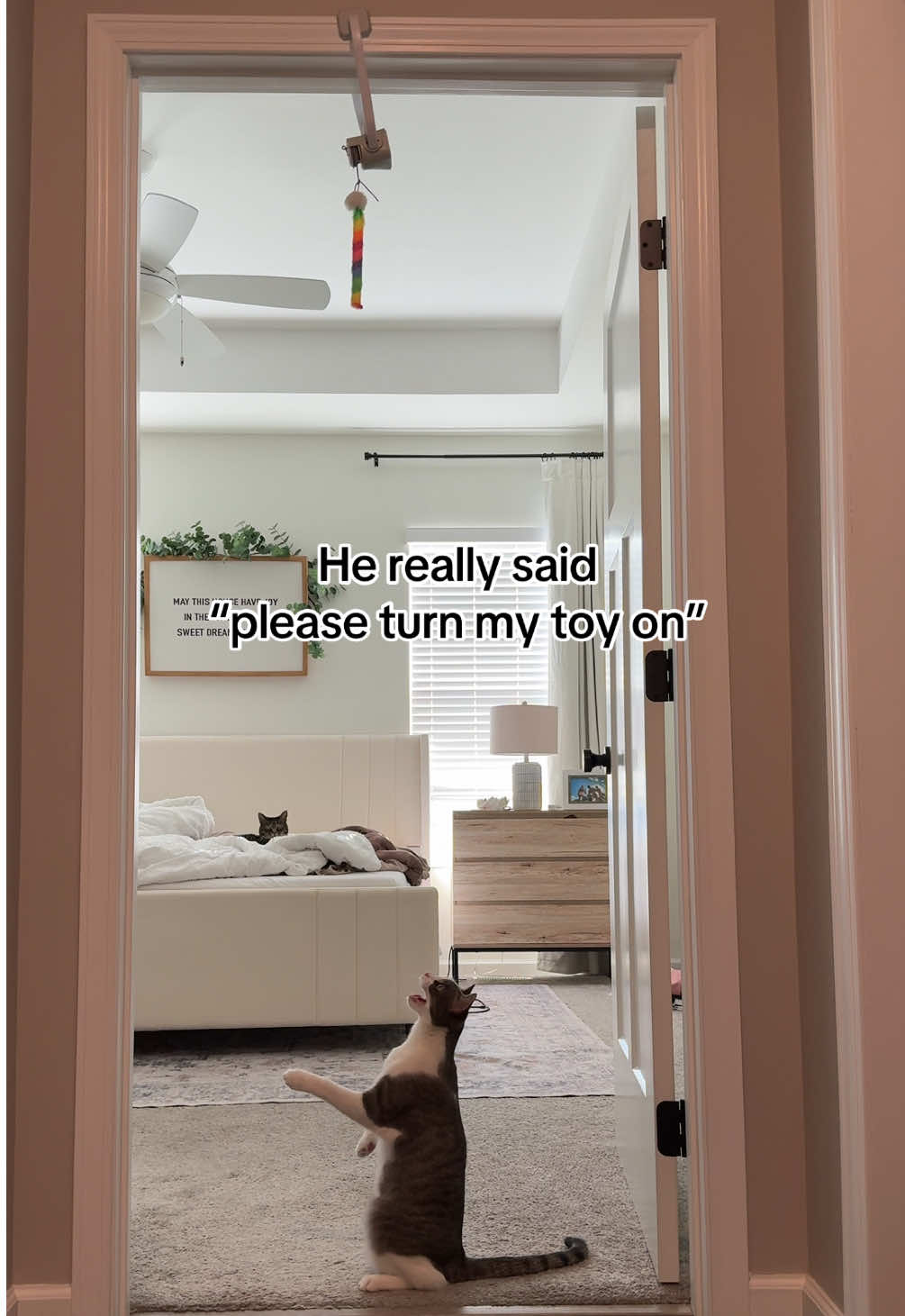 🥹Kevin loves it so much  #cattoys #catenrichment #catmoms #catplaytime 