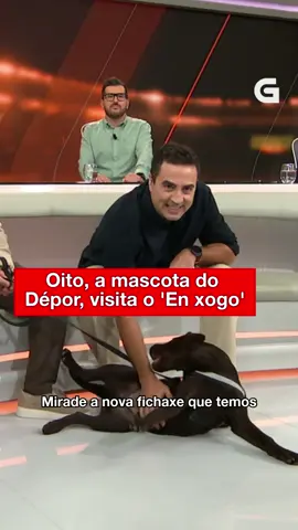 ⚽🐕 No ‘En Xogo’ tivemos unha visita moi especial… Chámase Oito e é a mascota do RC Deportivo. E viña con fame, que non paraba de roer en Sevi! #Galicia #galego #TVG #AGalega #AGalegaGAL