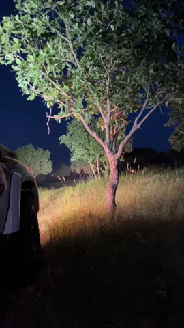 #pirmam #barzani #zyaret #mountain 