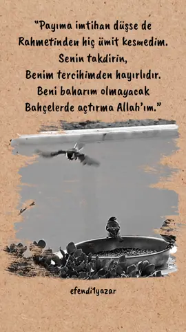 🥀🥀🥀 . Daha fazlası için takip etmeyi unutmayın . ❣ . @efendi1yazar 👈 . ➡➡➡➡➡➡➡➡➡➡➡➡ #Allah #islam #dua #ayetler #namaz                     