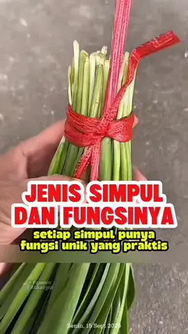 Dari simpul sayur, simpul kayu bakar, hingga simpul borgol — setiap simpul punya fungsi unik yang praktis dalam kehidupan sehari-hari maupun aktivitas outdoor. 🔗✨ +SimpulTali +OutdoorSkills +KeterampilanPramuka +SurvivalSkills +BelajarSimpul #fyppppppppppppppppppppppp #fypage #fy #funny #viraltiktok 