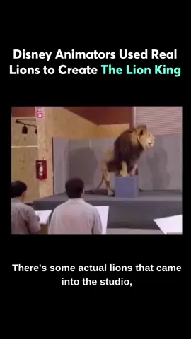 To bring The Lion King (1994) to life, Disney didn’t just imagine lions, they studied them. Animators observed live lions in the studio and in the wild, capturing every movement and detail to create the most realistic hand-drawn animation possible.