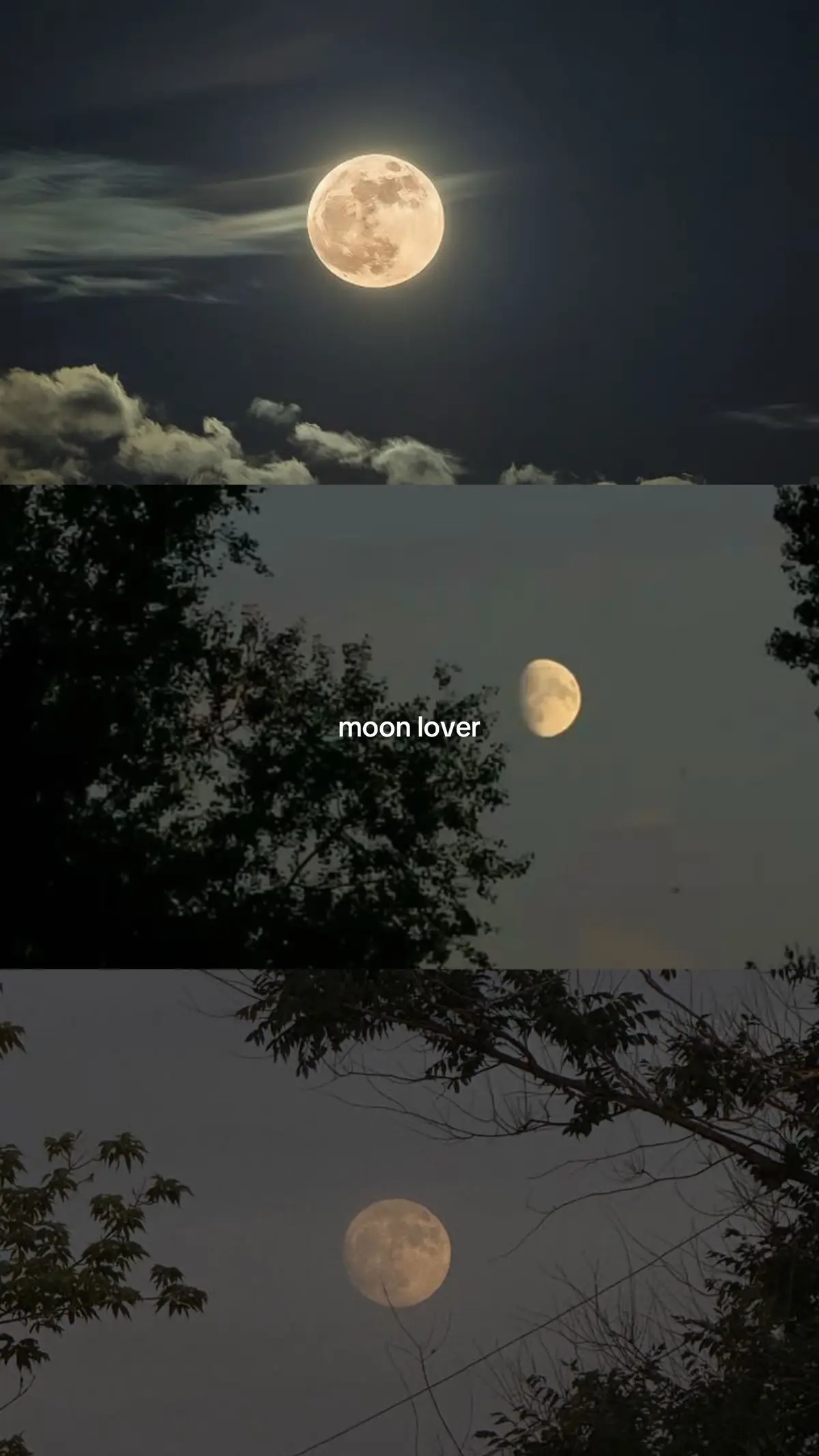 #moonlover #moon #pinterest #pinterestaesthetic 