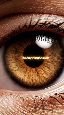 Cats and humans share the same ancient blueprint in their eyes. When a cat stares into your eyes, it’s more than affection — it’s recognition, born of the same blueprint. #catlovers #eyemystery #theanythinganswer #cateyes #evolutiontruth #ancestrytruth #eyeorigins #identityseries #eyepower #geneticmystery #hiddenhistory #lifemysteries #eyefacts #ancientfire #deeptruths #bodymystery #thetruthwithin #humanmystery #ancestralcode #eyemysterytok #legacyeyes #identitymystery #hiddenpower #eyemagic #truthseekers #eyestory #eyestudy #mysterywithin #naturemystery #theanythinganswer