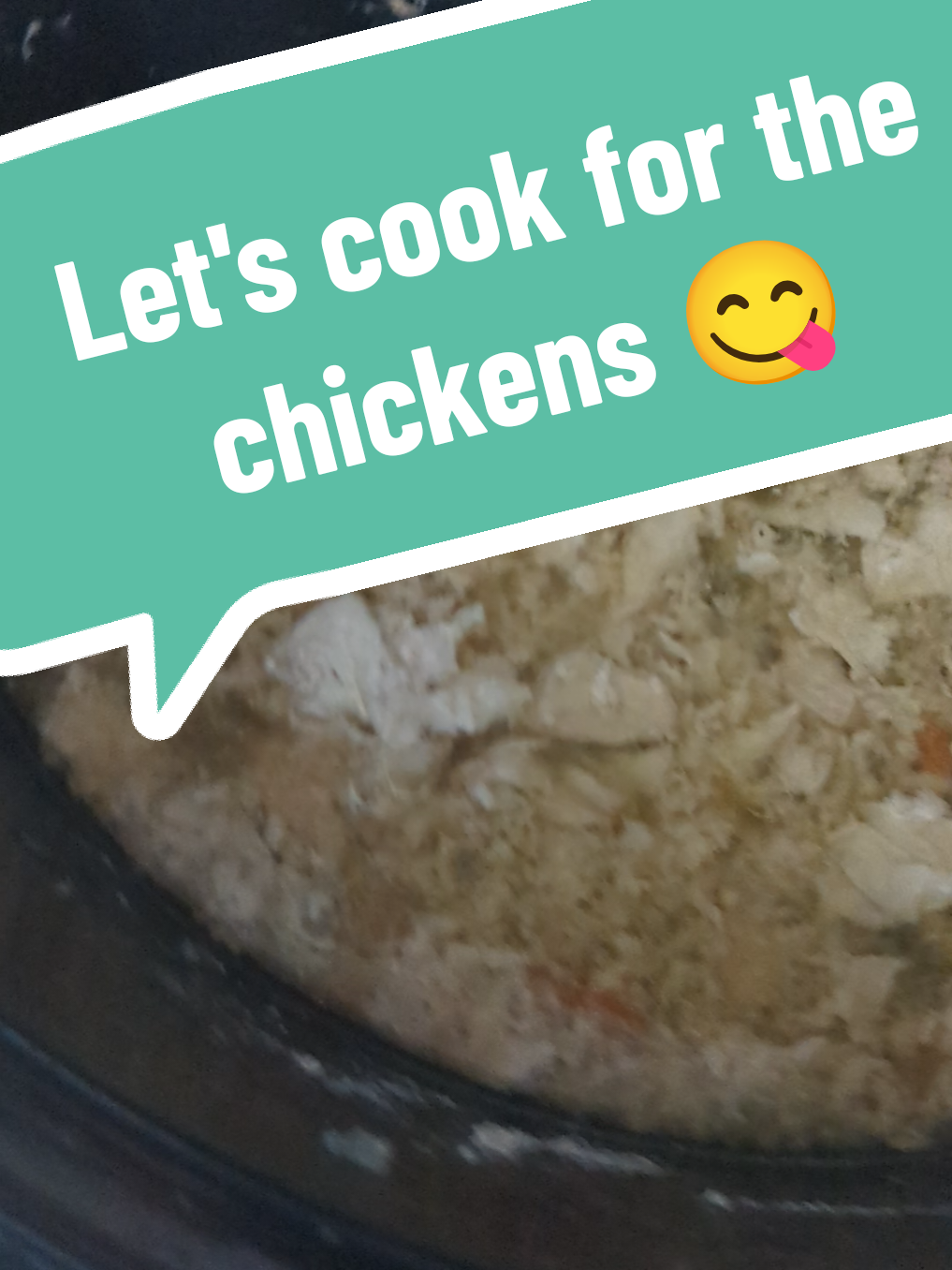 My dog in the background is barking at a new sign that I got from the Dollar Tree the other day.🤣😂#simplelife #chickensoftiktok #chickens #kitchen #fyp 