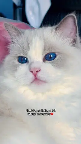 🥺🥺🥺