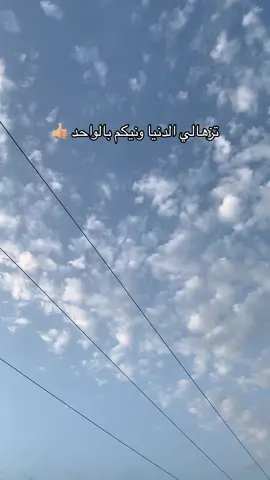 #fyp #tiktokuni #video #الجزائر🇩🇿_تونس🇹🇳_المغرب🇲🇦 #الشعب_الصيني_ماله_حل😂😂 