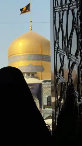 وقفة بجنَّةِ الرَّحمن ❤️‍🩹#explore #fyp #foryou #iran #mashad #مشهد #الامام_الرضا #🇧🇭 #🇮🇷 