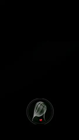 #💔🥀 #مالي_خلق_احط_هاشتاقات 