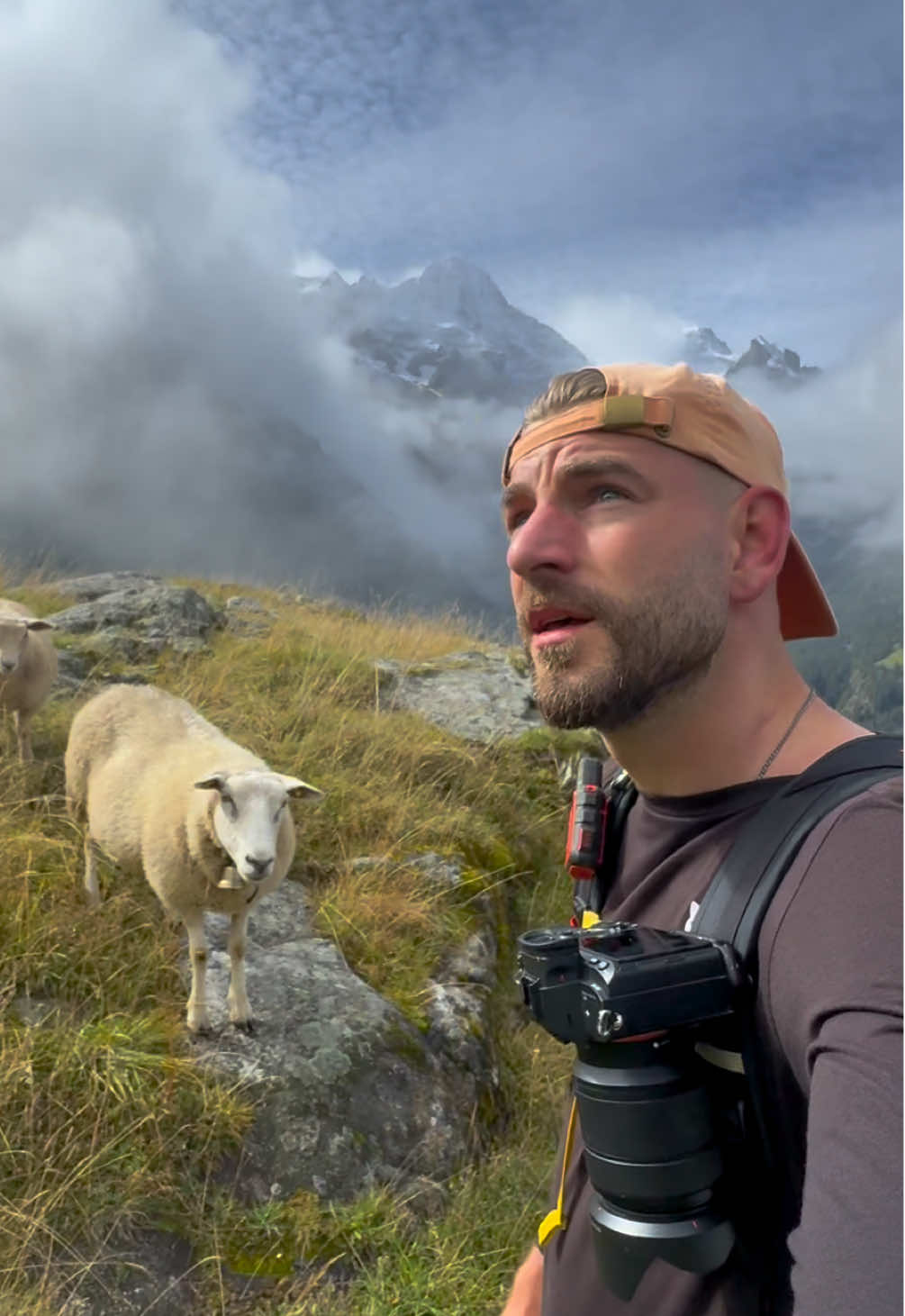 Mehr von 🌲🏔️🐐 ist der Schlüssel!🫵🏻 . . . #natur #wandern #alpen #leben 