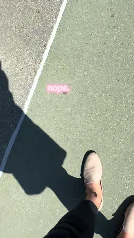 surprised at how calm i stayed 🫢 #fyp #spottedlanternflies #spottedlanterfly #invasive #invasivespecies 