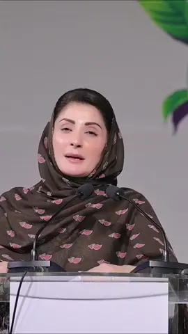 مجھ پر تنقید کرنے والے سُن میں تیری بے بسی سمجھتی ہوں “ #ChiefMinisterPunjab  #MaryamNawazSharif  #cmpunjab #fypviral 