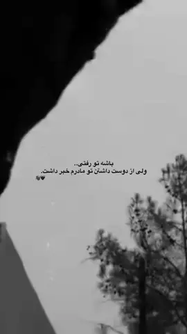 #foryou #afgbest #del__vin__ #🇦🇫 #🥀 