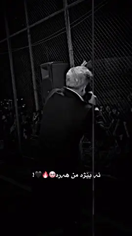 🖤#znarkocher #arasardalan 
