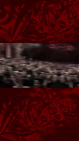 #باسم_الكربلائي #شعجب_موتي 