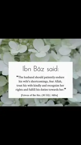 #creatorsearchinsights #no #comment 