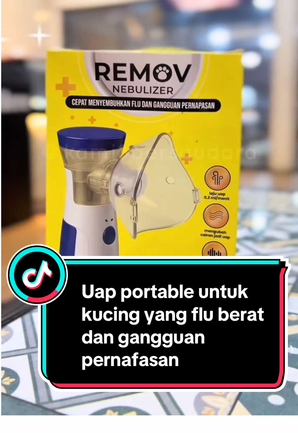 Rawat anabul dengan cara yg tepat dan modern #nebulizer #nebusolution #removnebulizer 
