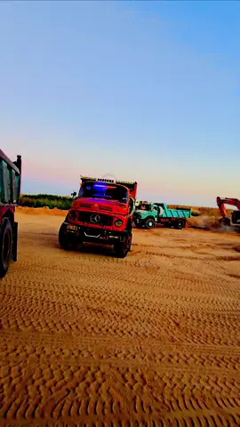 #الاقجم❤️🧿 #الحافظ_الله♥️✨ #تصويري_احترافي_الاجواء👌🏻🕊😴 #شمر #السناعيس 