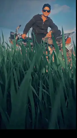 #CapCut 