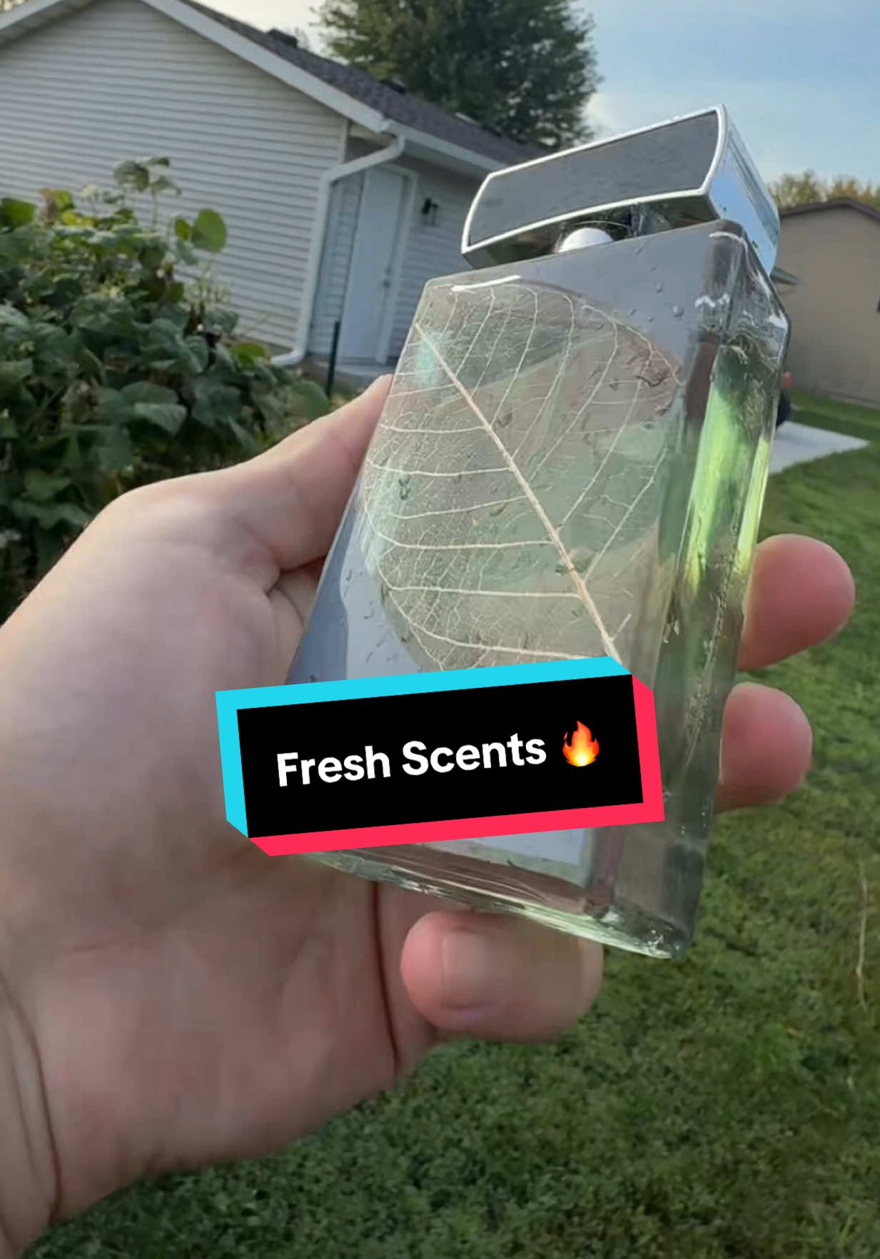 #fragrances #colognes #lattafaperfumes #smellgood #freshscent 