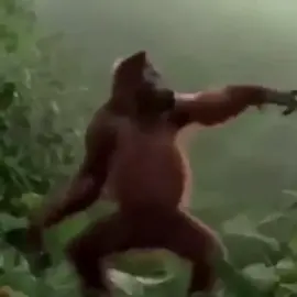 Part1 | The zago |Agora convoquei tu... @Zago #zago#editdozago#vaiprafy #viral #fyyppage❤️❤️ 