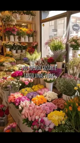 Amo los lirios 🫶 ♡. . . #lirios #lirios #flower #fyp  #creatorsearchinsight 