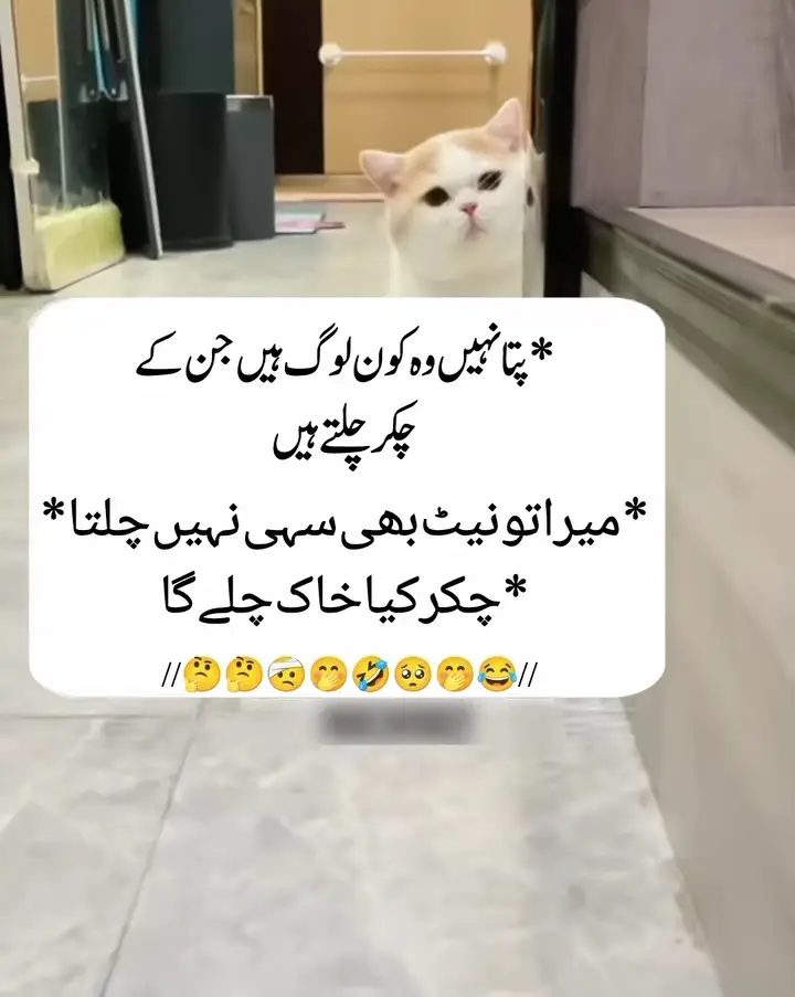 #🤪🤪🤪🤪🤪 #foryou #fyp #vairal #unfrezzmyaccount🙏 #😀😃😄😁😆😅🤣😂🙂🙃😉😊🥰😇😍 #zxycbaa #1000k #n_writes88 #😂😂😂😂😂 