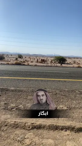 #غازي #هزاع #الشطيطي #الشمال #اكسبلور؟ 