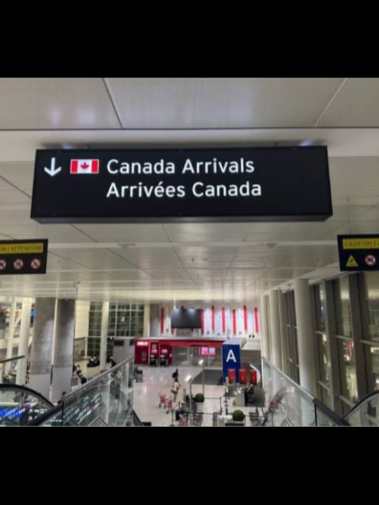 #creatorsearchinsights  #0965192996  #canada_life🇨🇦 