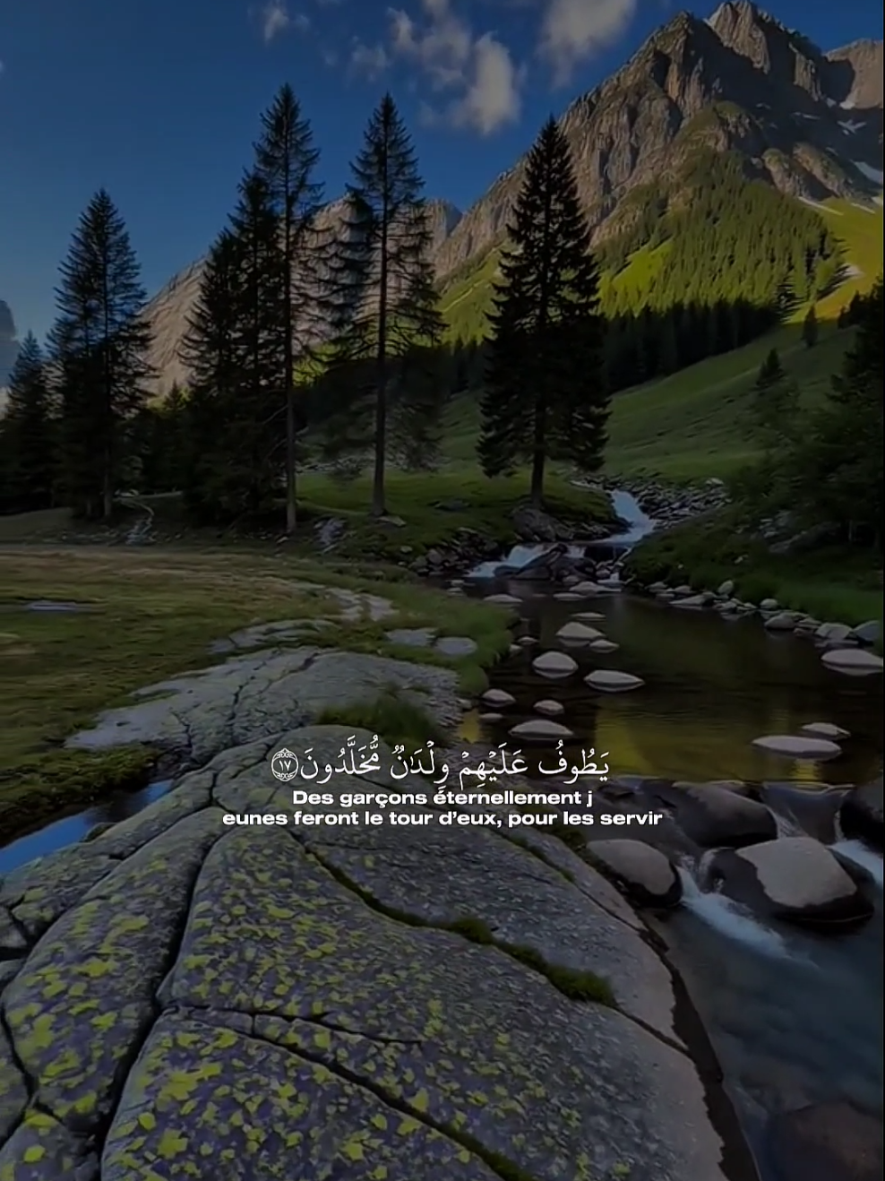 Sourate al-waqiaa @القارى بلال دربالي #quran #coran #quranrecitation  #qu_ran_n  #coranenfrançais 