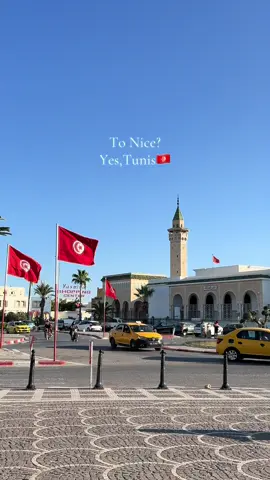 Tunis ya baba🇹🇳 #tonice #tunisia #tunisia🇹🇳 #explore #viral 