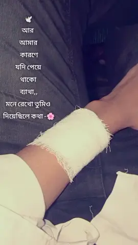 আর আমার কারণে যদি পেয়ে থাকো ব্যাথা,, মনে রেখো তুমিও দিয়েছিলে কথা -🌸#creatorsearchinsights #peligrosa 