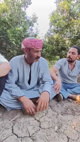 عم وحيد بيقول  وانا عيان درجة حرارتي وصلت 6643 درجة مئوية 😂#creatorsearchinsights #كوميديا_الحاج_وحوح #ومن_هنا_بدات_قصه_الحاج_وحوح🤔 #كوميديا #اكسبلور 