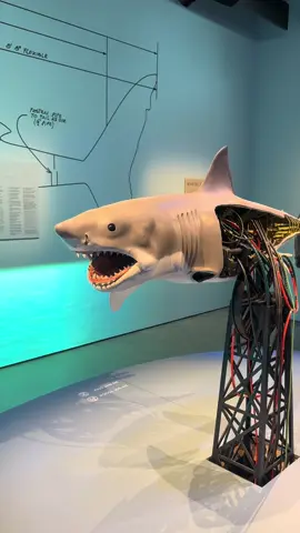 ✨OMG ITS BRUCE-CHAN✨ #jaws #academymuseum #exhibit #50thanniversary #film 