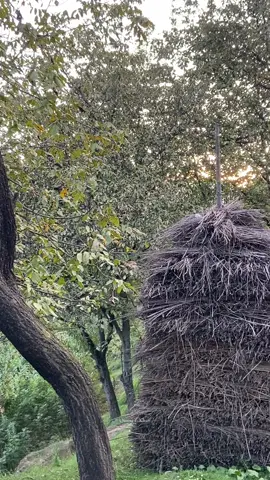 Hrcha ba waile chi Tirah yakhe di #unfrezzmyaccount #fyyyyyyyyyyyypppppp #viralvideotiktok #creatorsearchinsights #🤍🤍🍁🍁🍁🍂💫🍂🍂🍂 