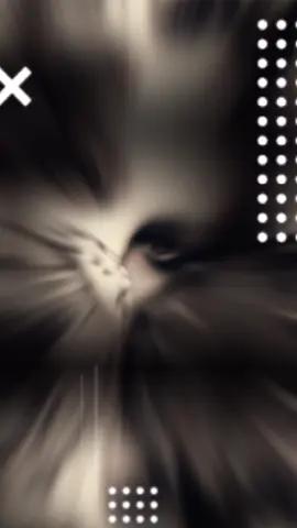 #fyppppppppppppppppppppppp #foryoupage #pppppppppppppppp #viralvideo #foryou 