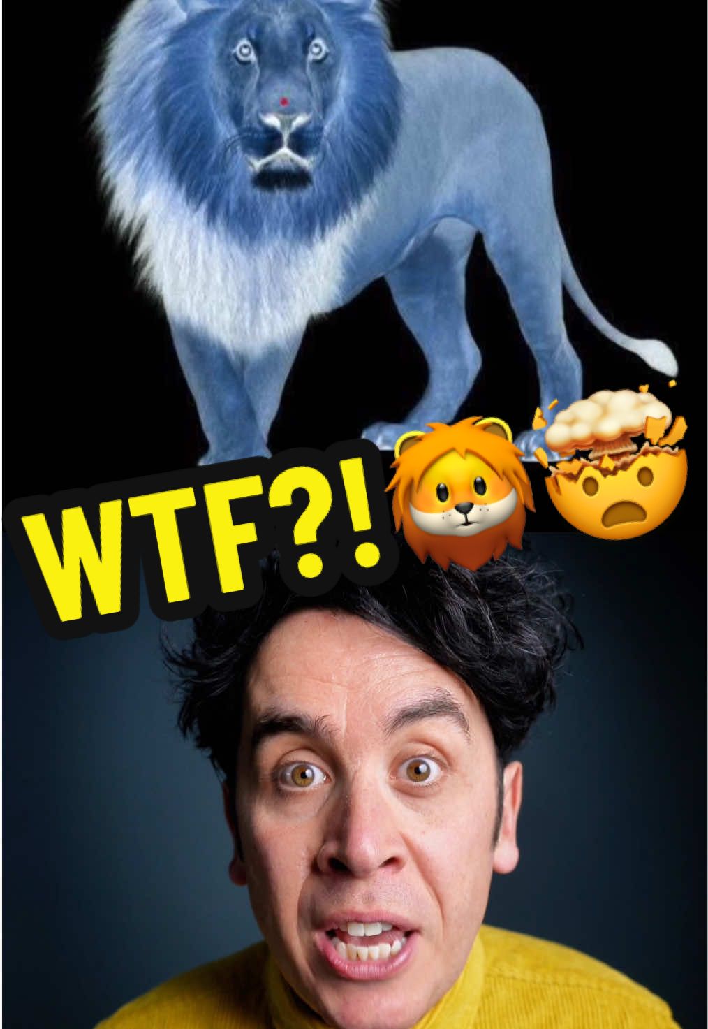 You have to try this!🦁 If you like puzzles, optical illusions and magic, I'm on tour in 2025 with a brand new live show featuring all that good stuff! GRAB TICKETS NOW via the link in my bio☝️☝️☝️ #magictrick #magician #puzzle  #fyp